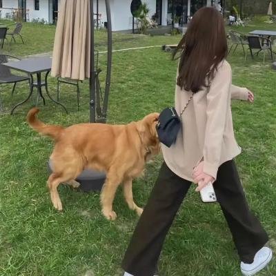 惊天奇案