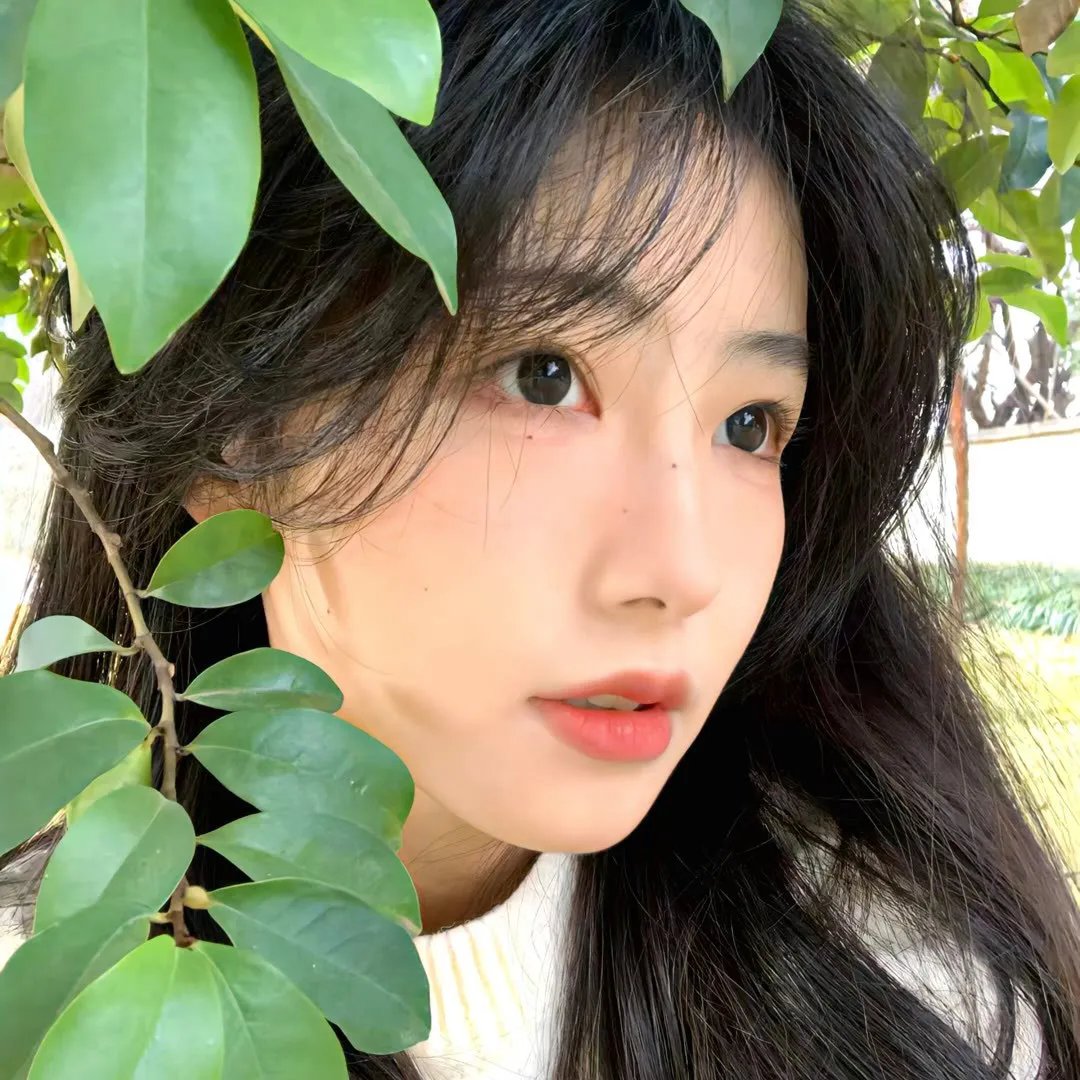 珍妮的战争