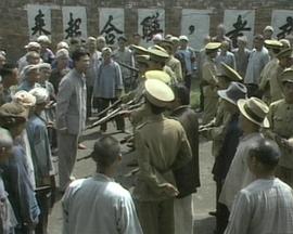 三个鲁伯特 封面图