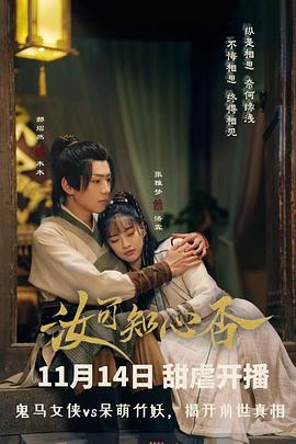 回来的路 封面图